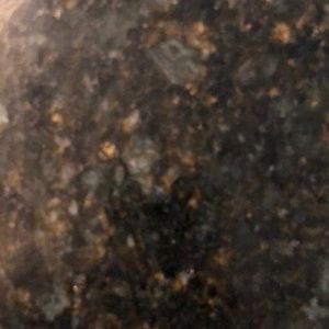 Meet your Posher, Bill